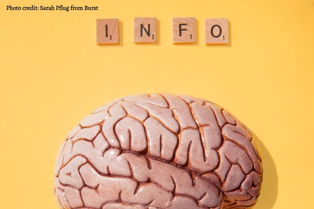 Information on brain